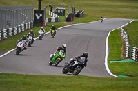Middle Group Green Bikes